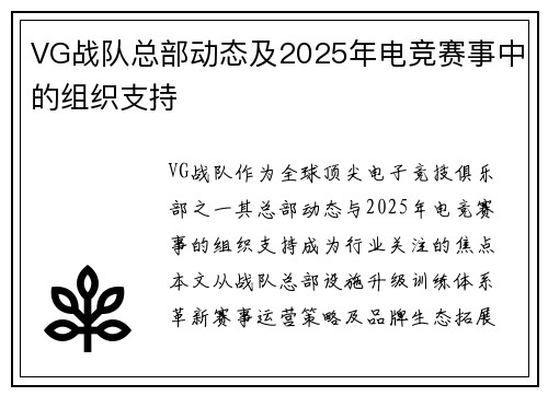 VG战队总部动态及2025年电竞赛事中的组织支持